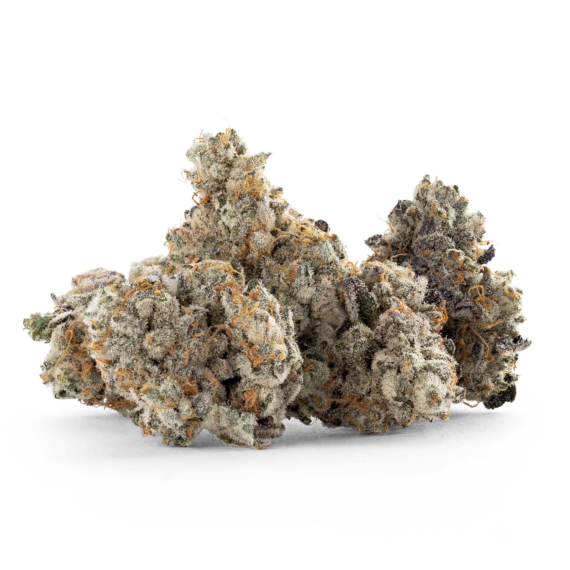 purple-banner-smalls-08-02-25-buds