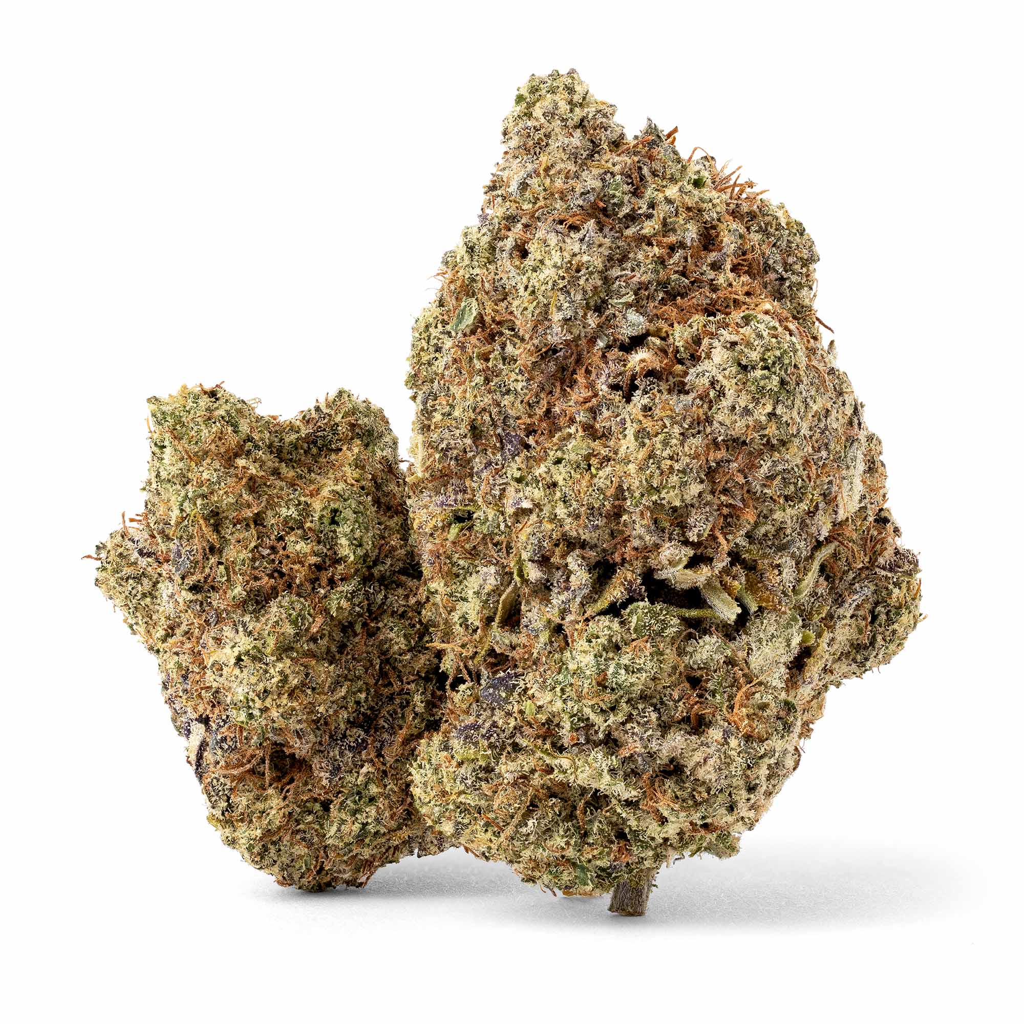 blackberry-kush-04-14-26-buds