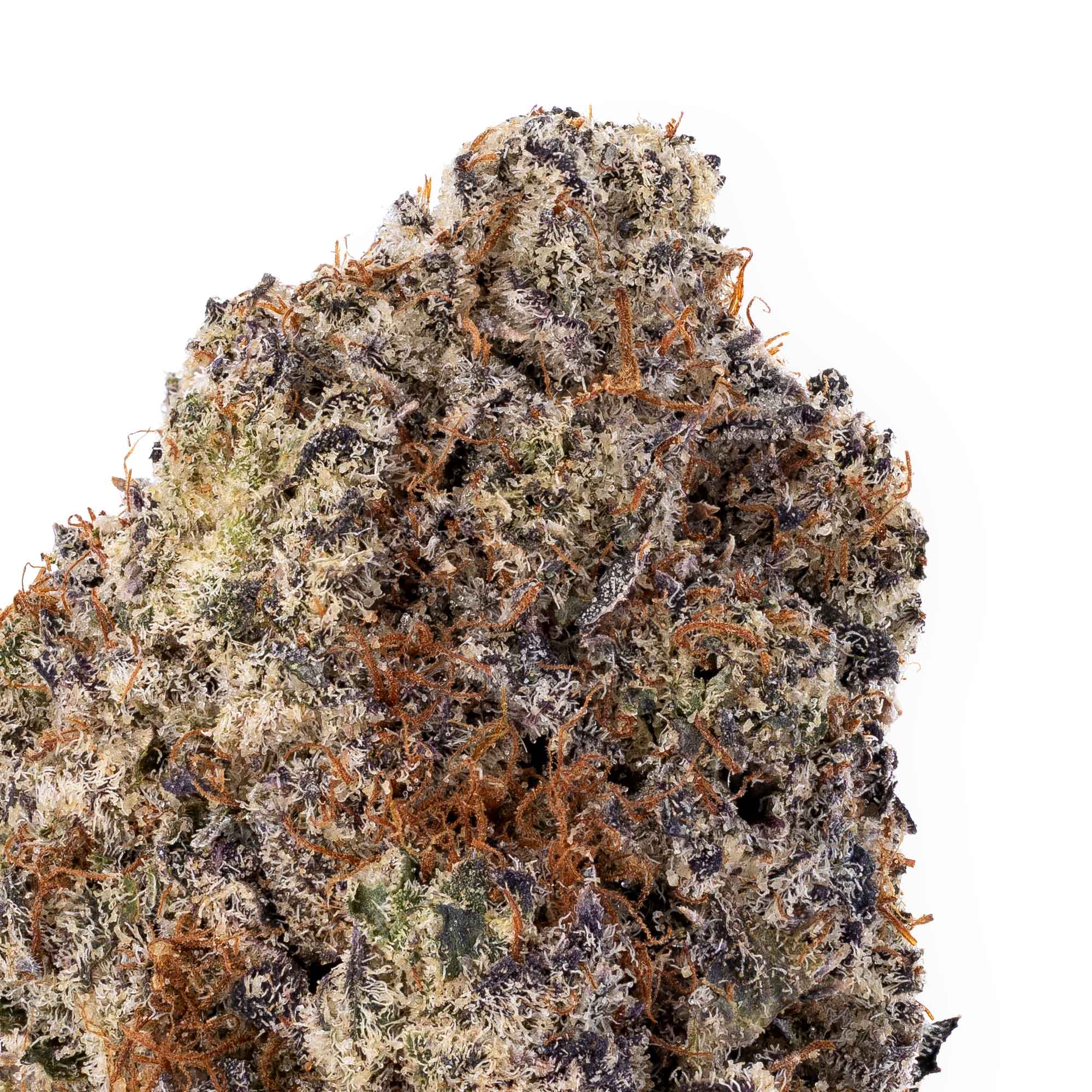 darth-vader--09-03-25-closeup