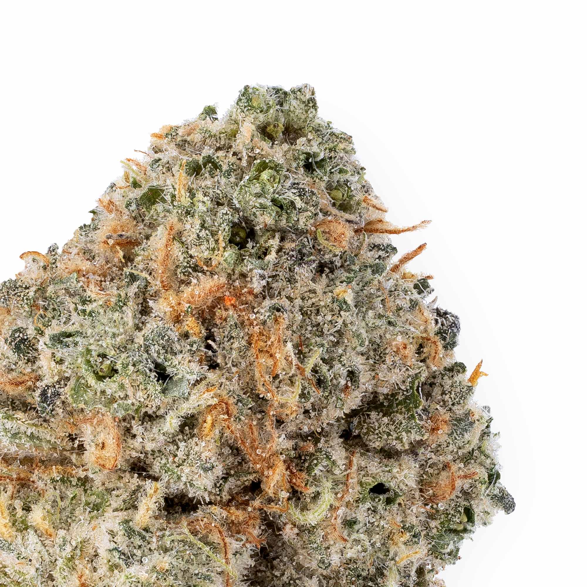 chemdawg-smalls-10-07-25-closeup