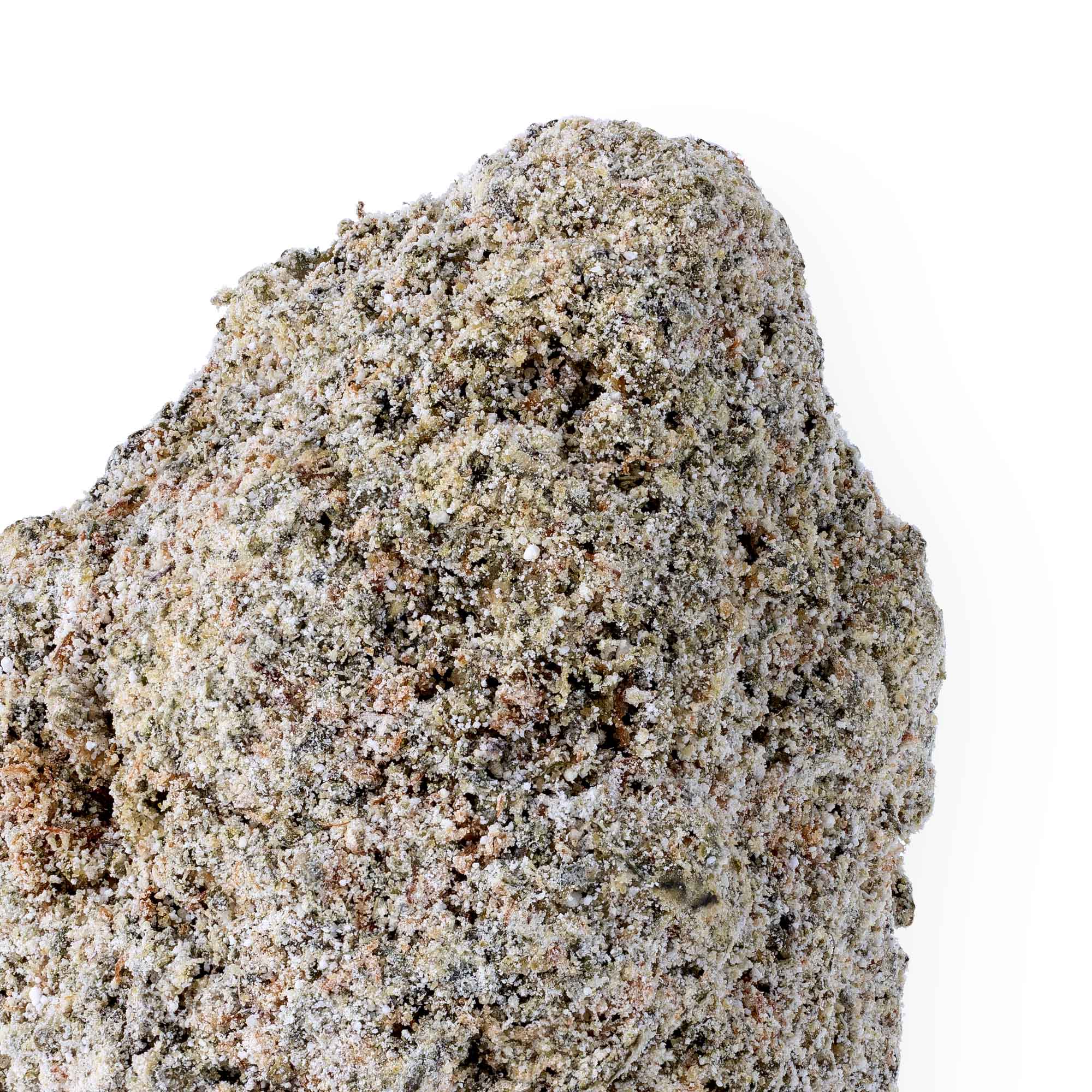 cream-soda-10-07-25-closeup