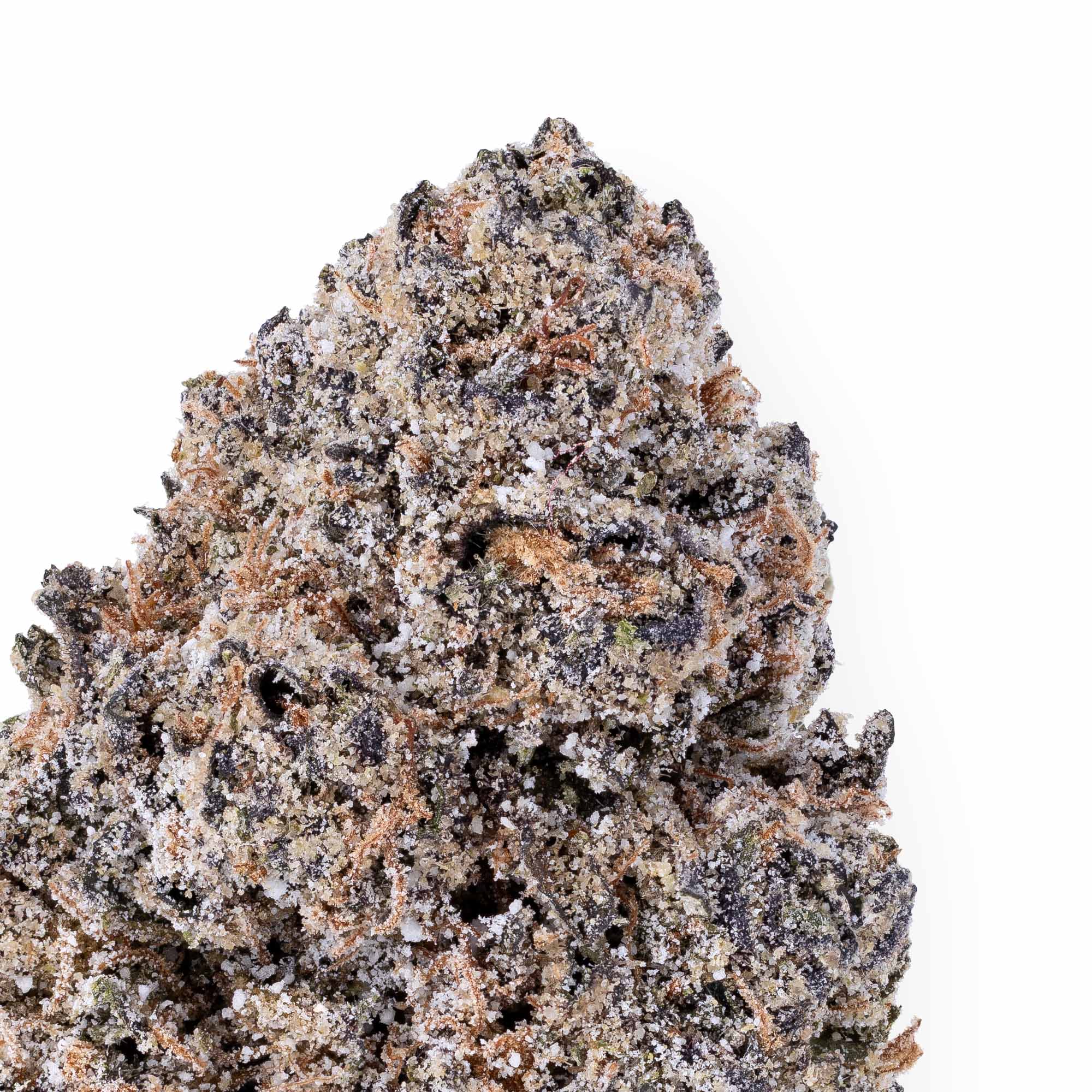 sunset-sherbert-smalls-10-07-25-closeup
