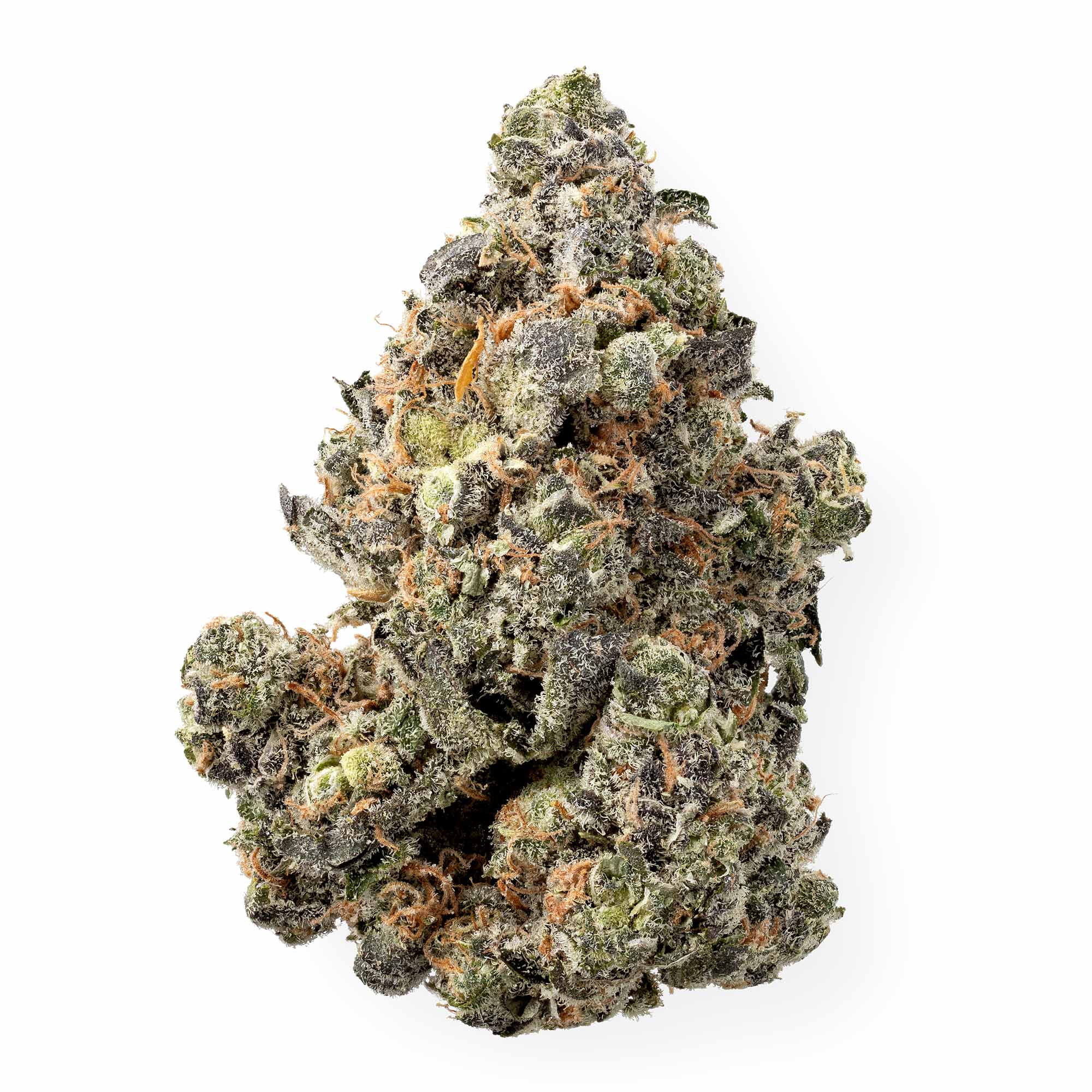 cherry-punch-blackberry-kush-01-08-26-bud