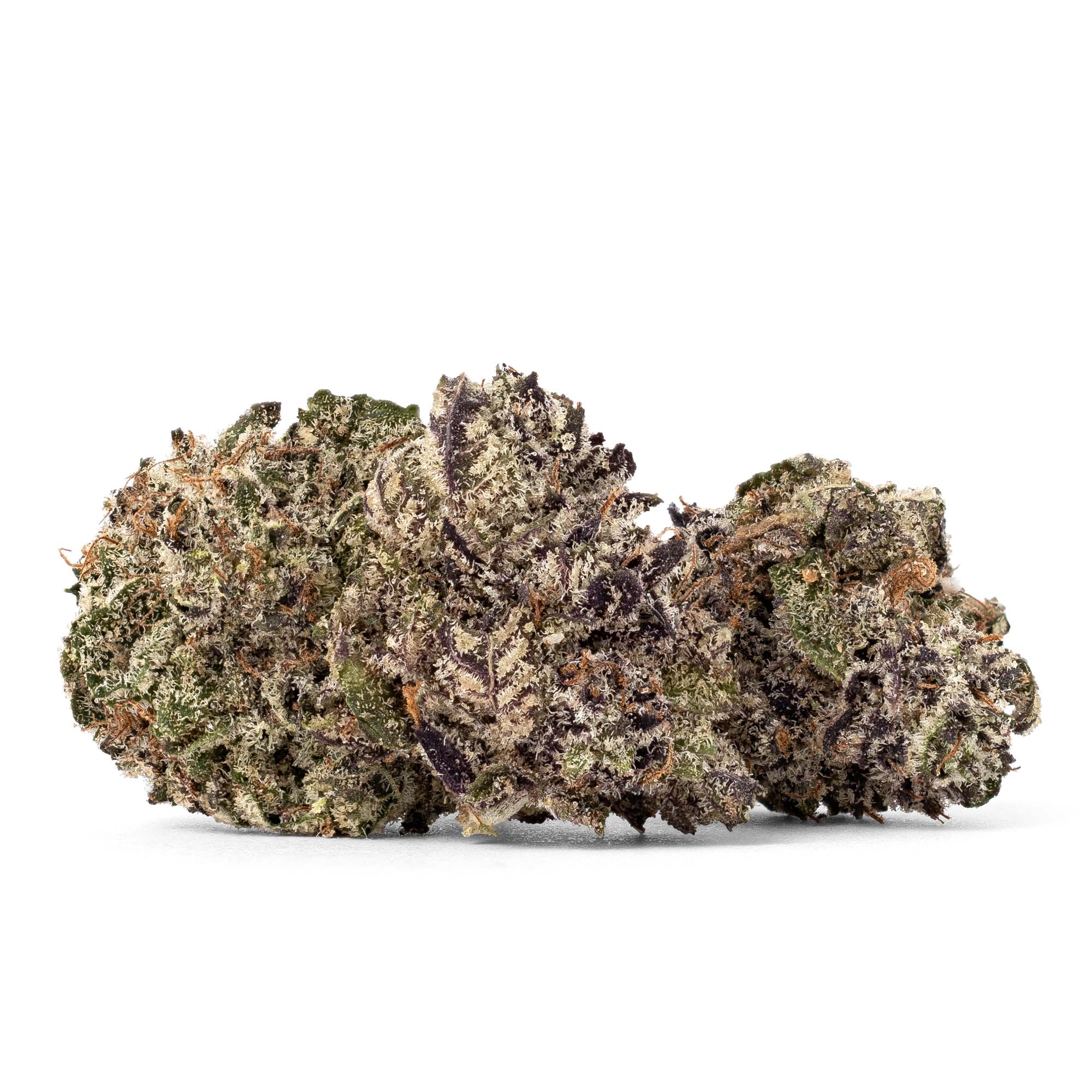 white-truffle-smalls-06-01-26-buds