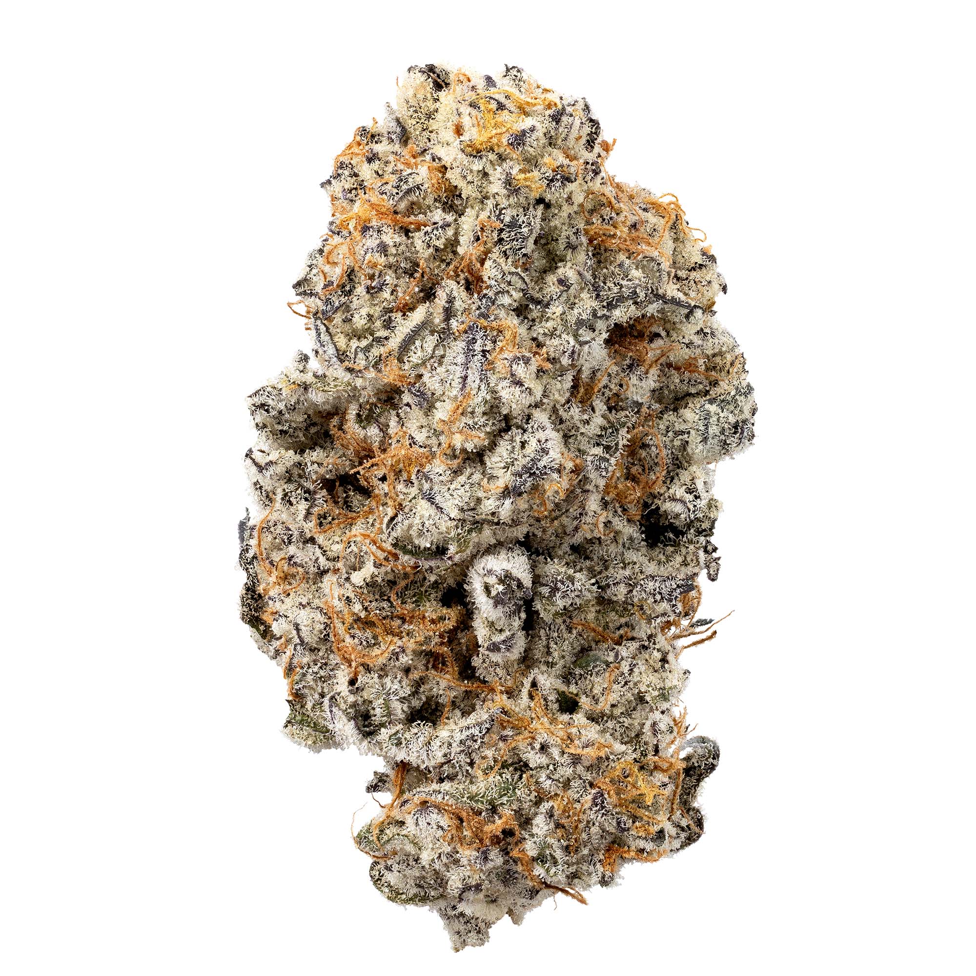 devil-driver-06-01-26-bud